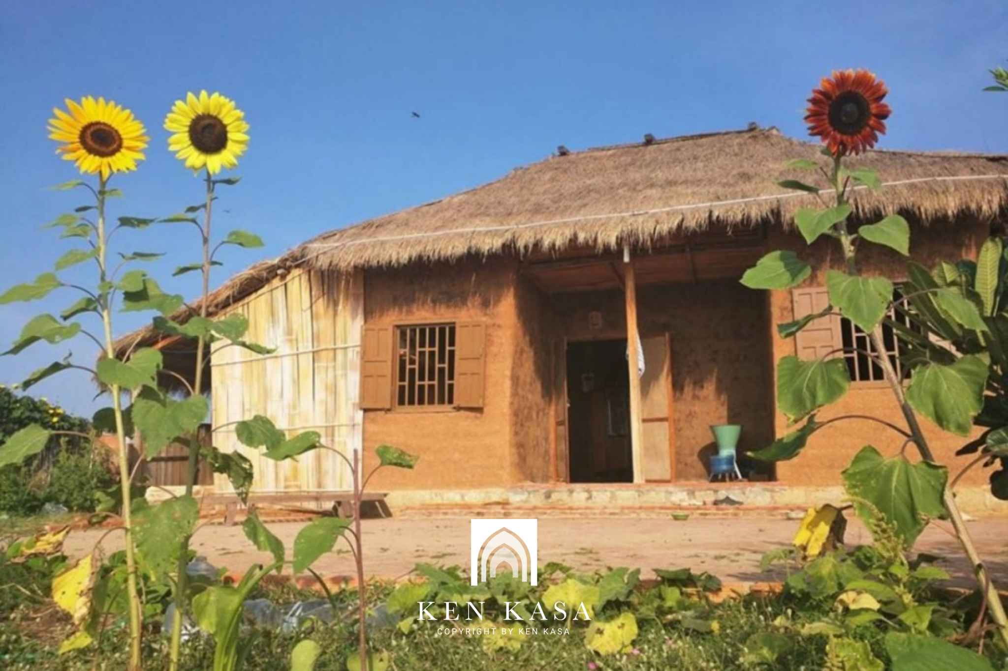 Mẫu thiết kế homestay giá rẻ kiểu nhà đất 